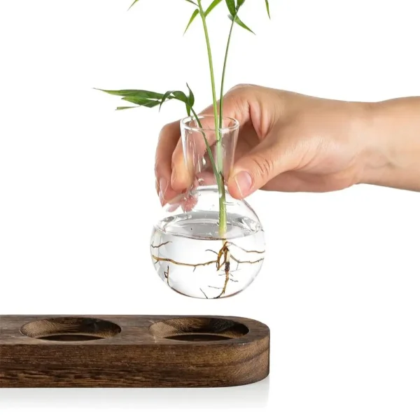 Vase en verre hydroponique transparent moderne avec escalier en bois, terrarium créatif pour plantes, station de propagation, décoration de bureau - Image 2