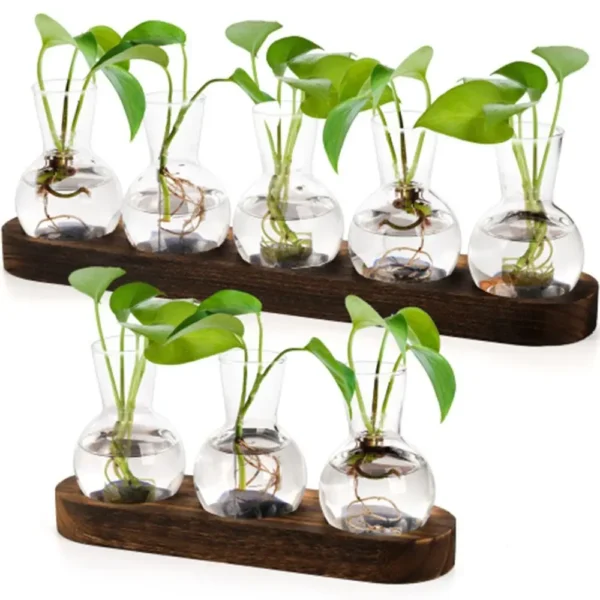 Vase en verre hydroponique transparent moderne avec escalier en bois, terrarium créatif pour plantes, station de propagation, décoration de bureau